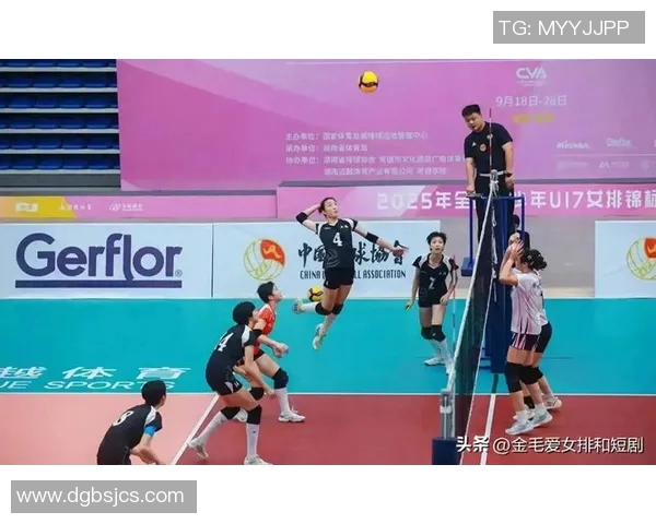 排球热点：解读上海排球队的进攻