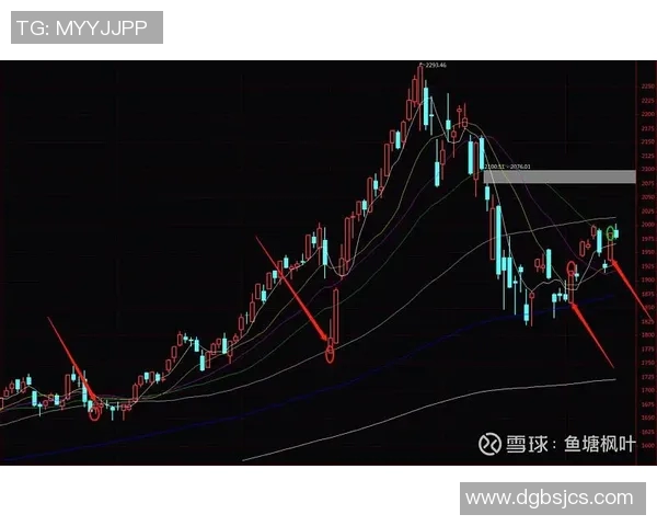 杭州篮球队与广州篮球队赛后复盘分析个人能力的较量与表现