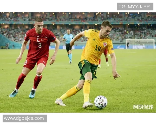 黑山足球明星阵容揭秘他们如何在国际舞台上闪耀光芒