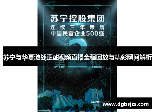 苏宁与华夏激战正酣视频直播全程回放与精彩瞬间解析
